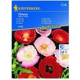KIEPENKERL Sjeme cvijeća Mak turčinak Chorus (Papaver rhoeas, Raznobojno) | shoptok.hr