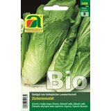 AUSTROSAAT Cikorija "Navadni potrošnik" Cene
