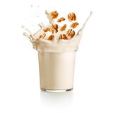 Lékué Set za pripremu napitka od orašastih plodova 2 kom 1 l Veggie – | shoptok.hr