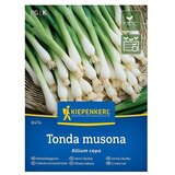 KIEPENKERL Zelenjavna semena Čebula Tonda musona (Allium cepa, Čas žetve: April) | Shoptok.si