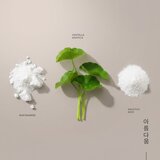 KORIKA Skin Essentials Dual Exfoliating Toner Pads dvojne eksfoliacijske blazinice 20 kos | Shoptok.si