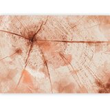  Foto tapeta - Pink Trunk 250x175 Vodootporna | shoptok.hr