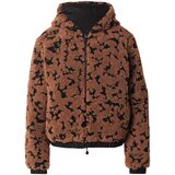 Ea7 Emporio Armani Zimska jakna smeđa / crna | shoptok.hr