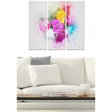 Wallity Set slika MDF2737269, 3 dijela | Eponuda.ba