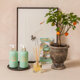 Castelbel Portus Cale White Crane losjon za telo 300 ml | Shoptok.si