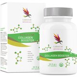Vegan Collagen Booster - 60 kaps. Cene