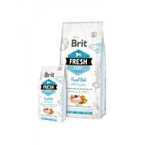 Brit Fresh hrana za odrasle pse velikih rasa, sveža riba sa bundevom Cene