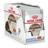 Royal Canin Ageing (12+) - žele 12 x 85 g