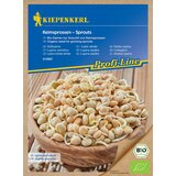 BIO kalčki sladkega volčjega boba - 1 pkt. | Shoptok.si