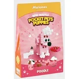 Mini Waffle Pocket Pets Puppies Poodle