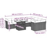 vidaXL 10-dijelni set vrtnih sofa s jastucima bež od poliratana | shoptok.hr