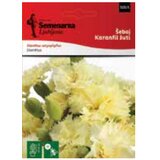 Šeboj karanfil žuti (070559) | ePonuda.com