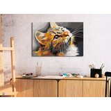  Slika za samostalno slikanje - Red Cat 60x40 | shoptok.hr
