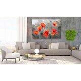  Slika - Poppies (Watercolour) 120x80 | shoptok.hr