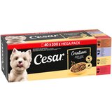 Cesar Fine Favoritten u umaku u vrećicama - 40 x 100 g Cijene
