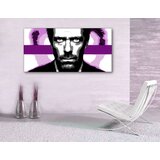  Ručno slikane slike na platnu pop art dr. house Cene
