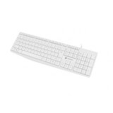  TECLADO COM FIO US SLIM NAUTILUS PARA PC/LAPTOP, BRANCO, (5000261508) | Shoptok.si