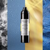 Hair Rituel by Sisley Protective Shield Mist zaščitna meglica za dolžino las 100 ml | Shoptok.si