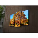 Wallity Set slika sa LED osvetljenjem 3PATİACT-26, 3 Dela | ePonuda.com