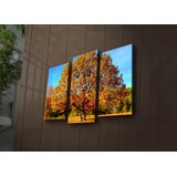 Wallity Set slika sa LED rasvjetom 3PATIACT-26, 3 dijela | Eponuda.ba