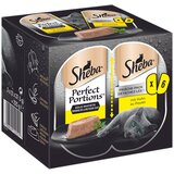 Sheba Perfect Portions, 6 x 37,5 g - Pašteta s piščancem | Shoptok.si