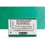  Akvarel boje Schmincke Horadam cela posudica | 511 Chromium Oxide Green Brilliant Cene