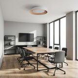  Brilagi - LED prigušiva svetiljka ALVA LED/48W/230V 3000-6500K fi 51 cm bela + daljinski upravljač | Eponuda.com