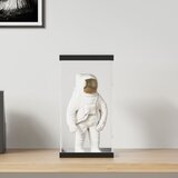  Kutija za izlaganje prozirna 20 x 20 x 38 cm akrilna | shoptok.hr