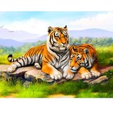 Magic Toys diamantna sestavljanka: komplet za diamantno slikanje tigrov 40x50 cm | Shoptok.si