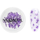 NeoNail Dried Flowers sušen cvet za nohte odtenek 06 Violet 1 kos | Shoptok.si
