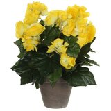  Umetna rastlina rumena begonija (Višina: 30 cm, Rumena, Plastika) | Shoptok.si