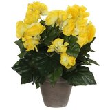  Umjetna biljka Begonija (Visina: 30 cm, Žute boje, Plastika) | shoptok.hr