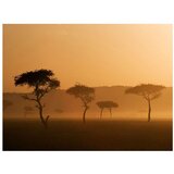  Tapeta - Massai Mara 300x231 | shoptok.hr