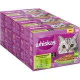 pakiranje Whiskas 1+ Adult vrečke 96 x 85 g - 7+ mešan izbor v omaki
