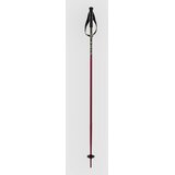 Völkl Phantastick Jr Poles 2025 Smucarske palice berry | Shoptok.si