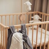 Jollein muzička potezalica ( 080272 ) | ePonuda.com