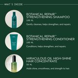Aveda Holiday Gift of Radiance Botanical Repair™ and Miraculous Oil poklon set za kosu | shoptok.hr