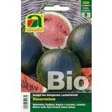 BIO lubenica Sugar Baby | Shoptok.si