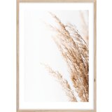 Styler Plakat v okvirju 50x70 cm Beige II - Styler Cene
