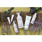 LADOR TripleX prirodni biljni šampon za sve tipove kose 150 ml | shoptok.hr