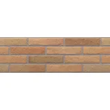 ascot fuego 20X60 M92