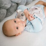 BabyOno tješilica koala Coco | shoptok.hr