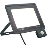 vidaXL LED reflektor s senzorjem 100 W hladno bel cene