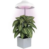  LED unutrašnja lampa za uzgoj biljaka GROW LED/5W/5V Cene
