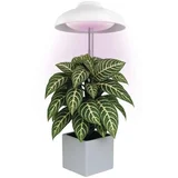 LED unutrašnja lampa za uzgoj biljaka GROW LED/5W/5V