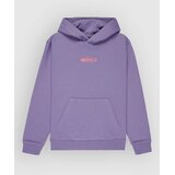 Quiksilver Globe Kids Pulover s kapuco daybreak | Shoptok.si