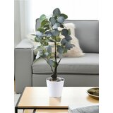Sinsay Ukrasna umjetna biljka | shoptok.hr