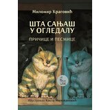 Tanesi Milomir Kragović - Šta sanjaš u ogledalu | ePonuda.com
