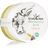 Soaphoria Babyphoria balzam pri gripi in prehladu 50 ml Cene