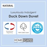 HOMESCAPES Luxury White Duck Down 13,5 Tog All Seasons odeja, 230x220 cm, (20750131) | Shoptok.si